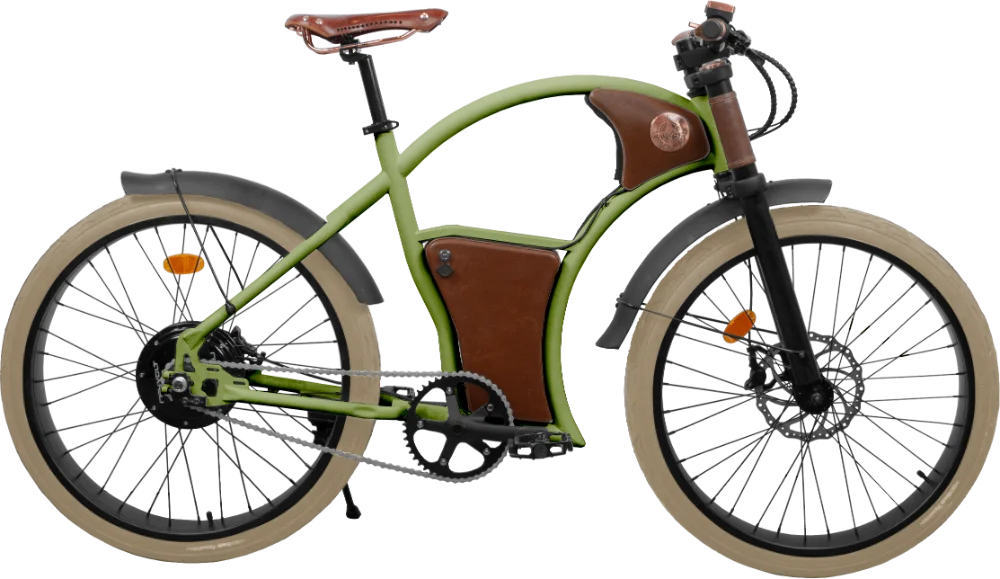 Rayvolt Torino - Evolve Bike4all